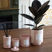 Bougies et diffuseur L'Élégante sur une table, à côté d'une plante en pot rose