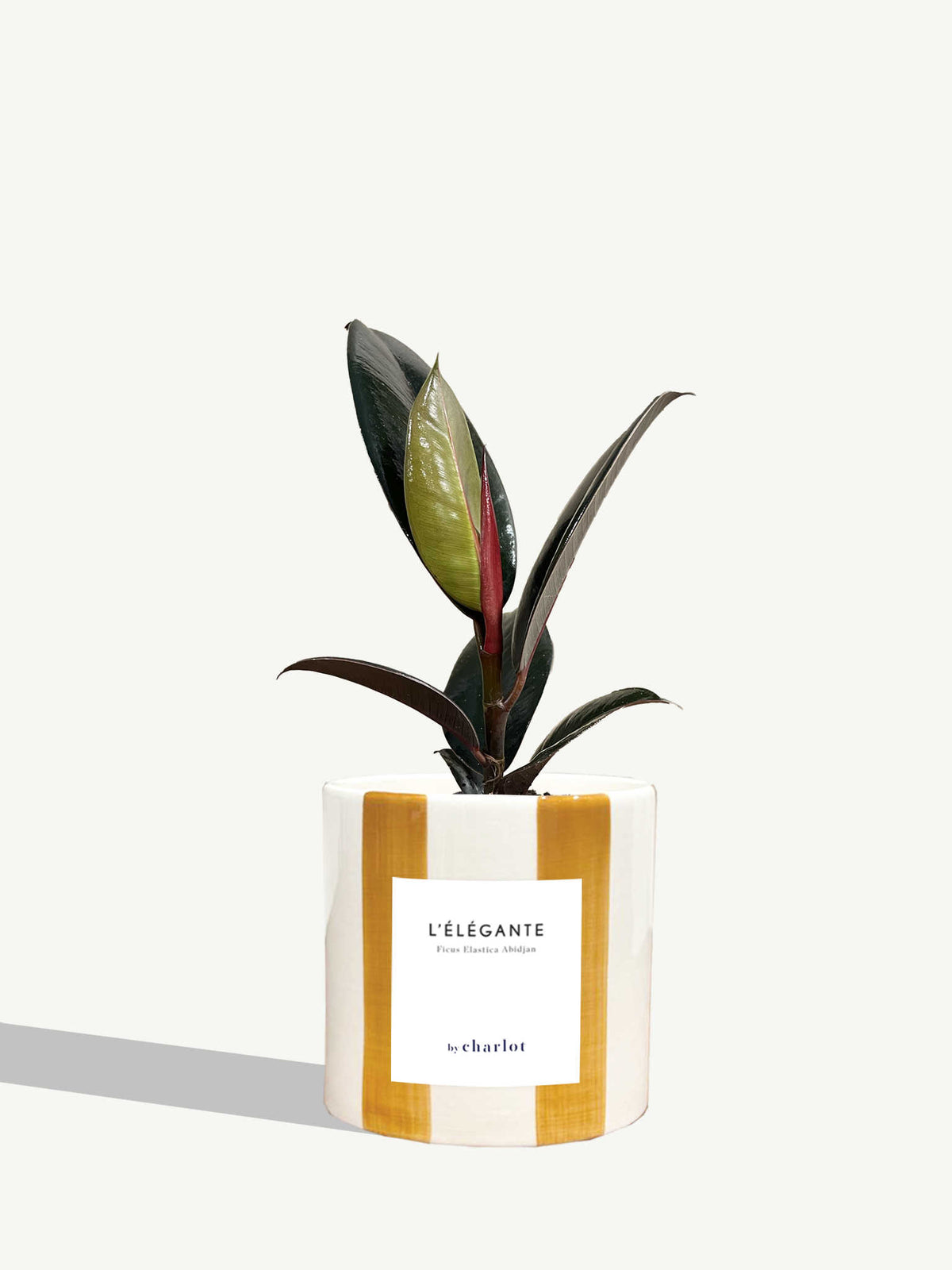 L'Élégante