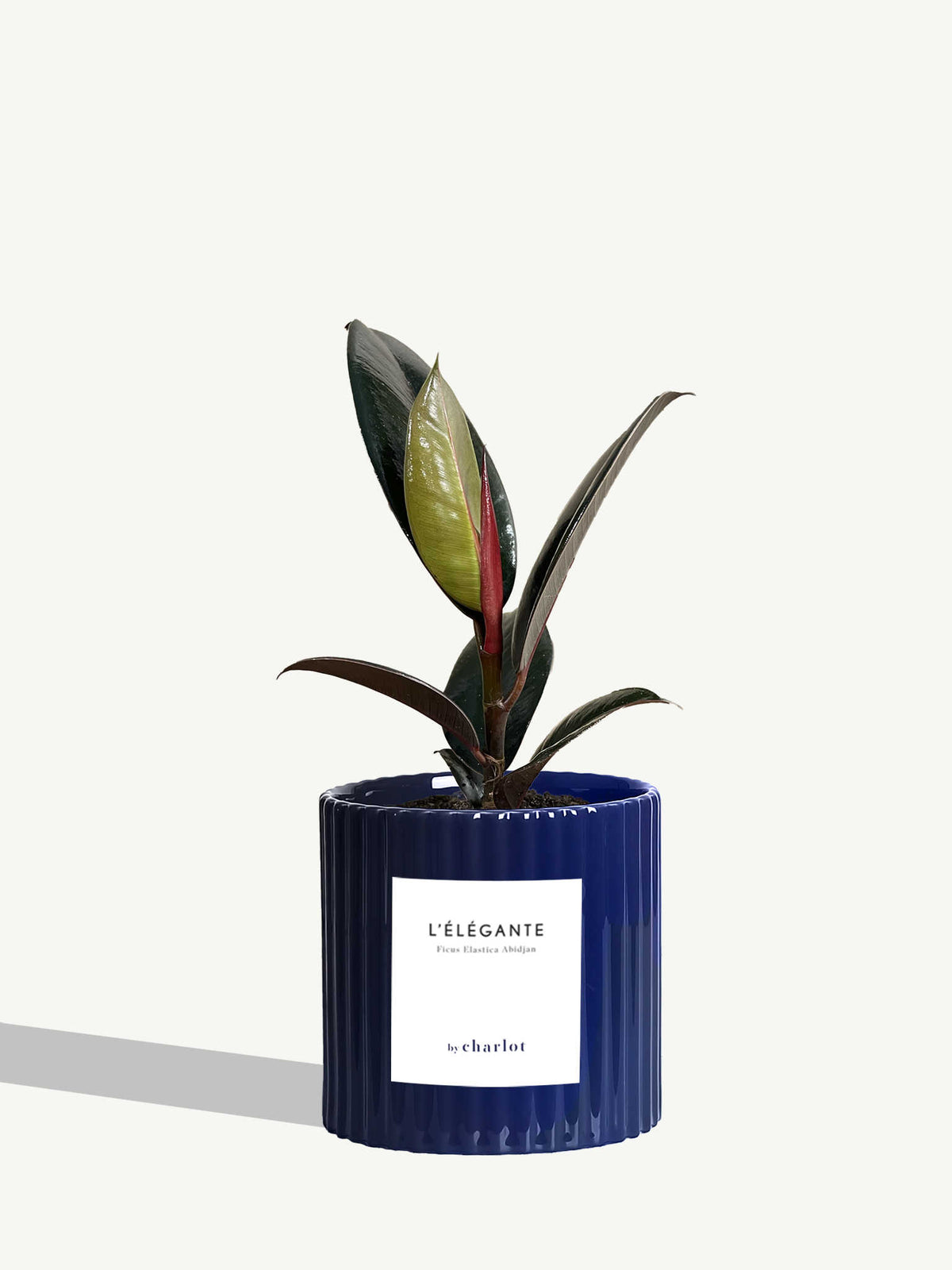L'Élégante