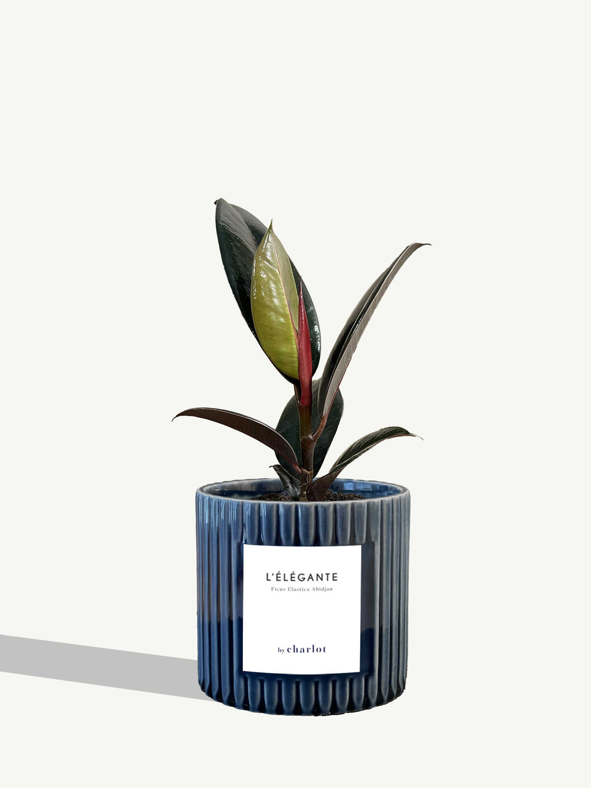 L'Élégante