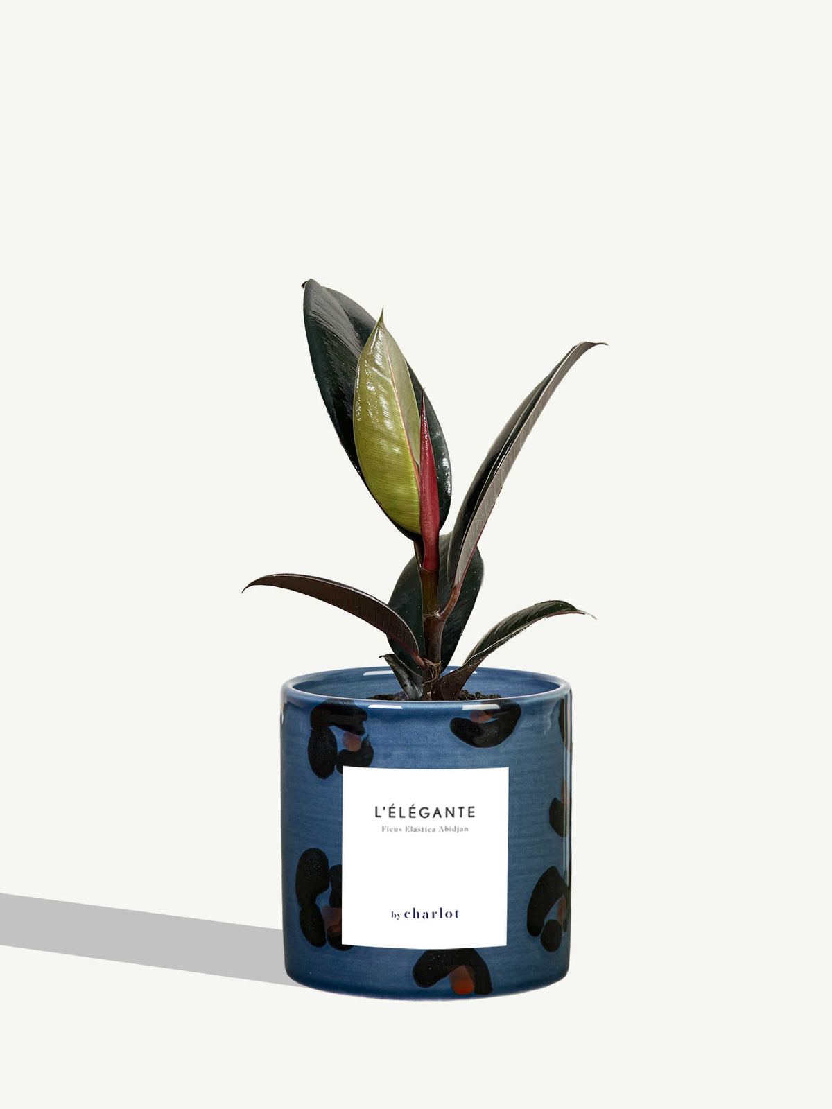 L'Élégante