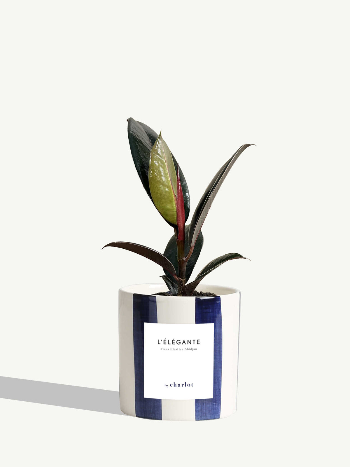 L'Élégante