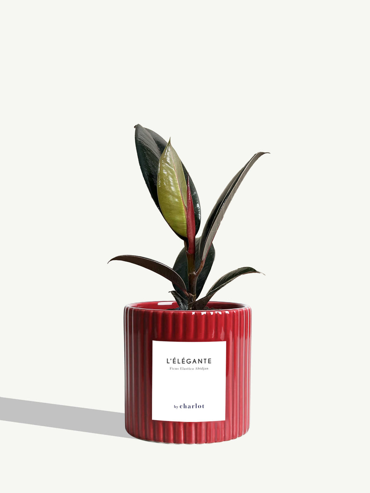 L'Élégante