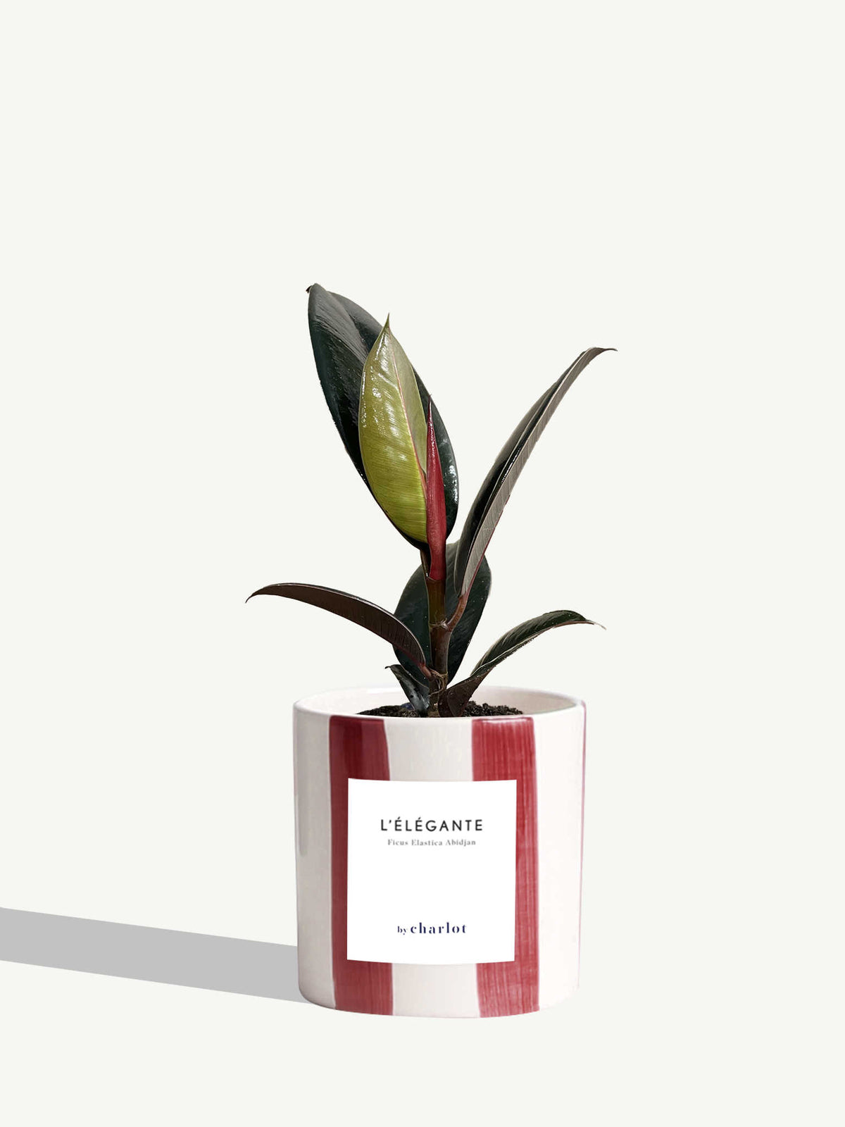 L'Élégante