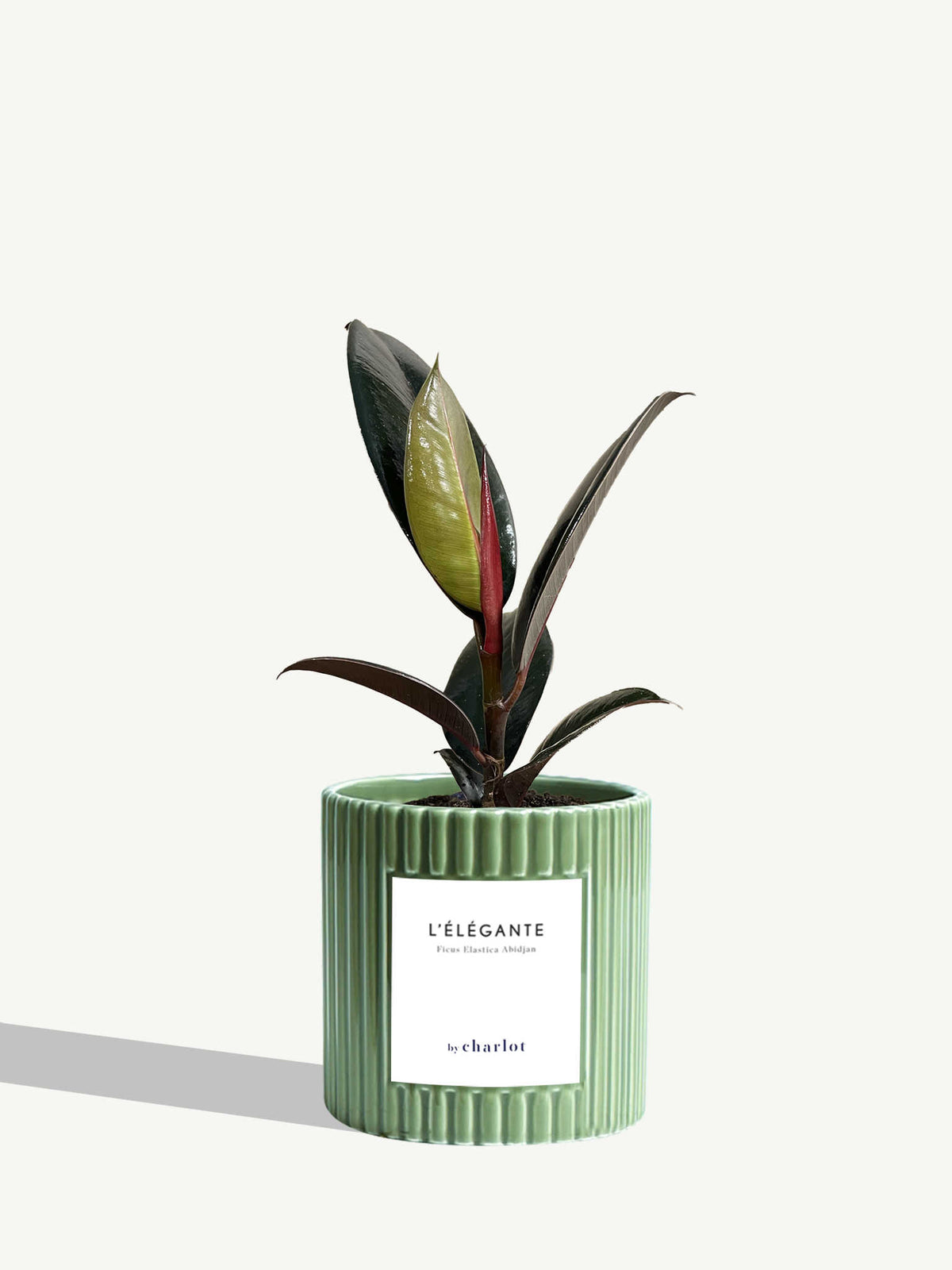 L'Élégante