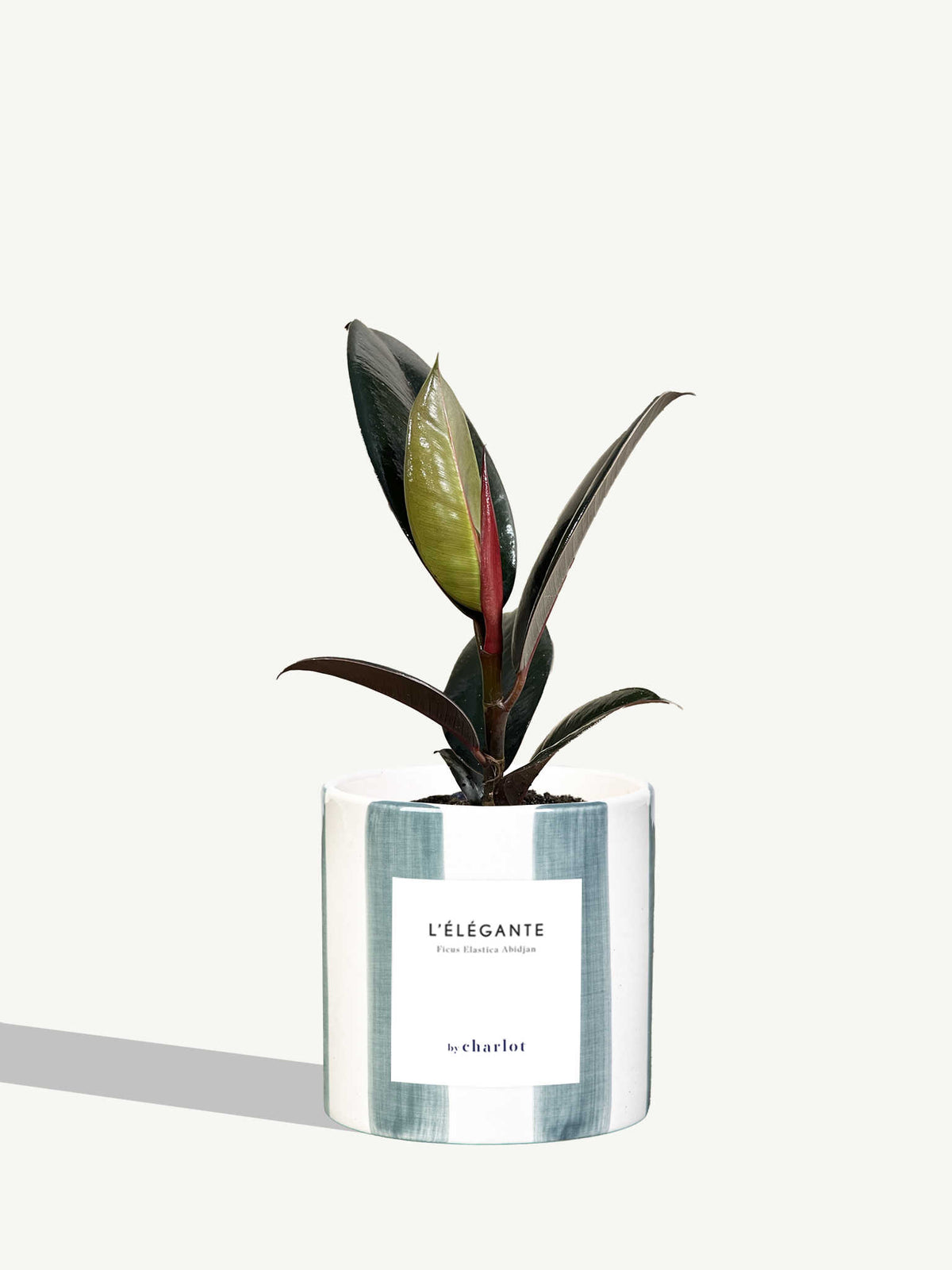 L'Élégante
