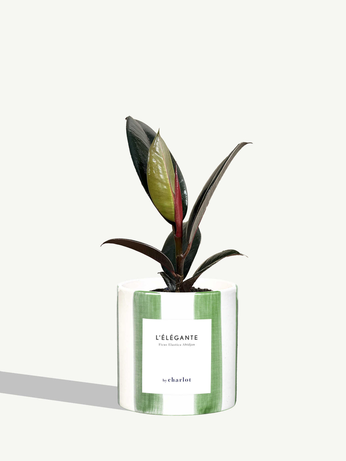 L'Élégante