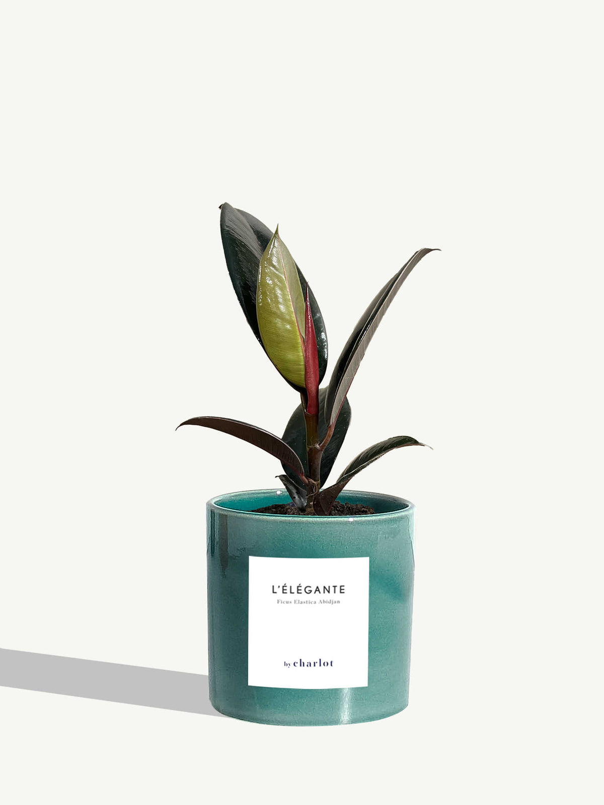 L'Élégante