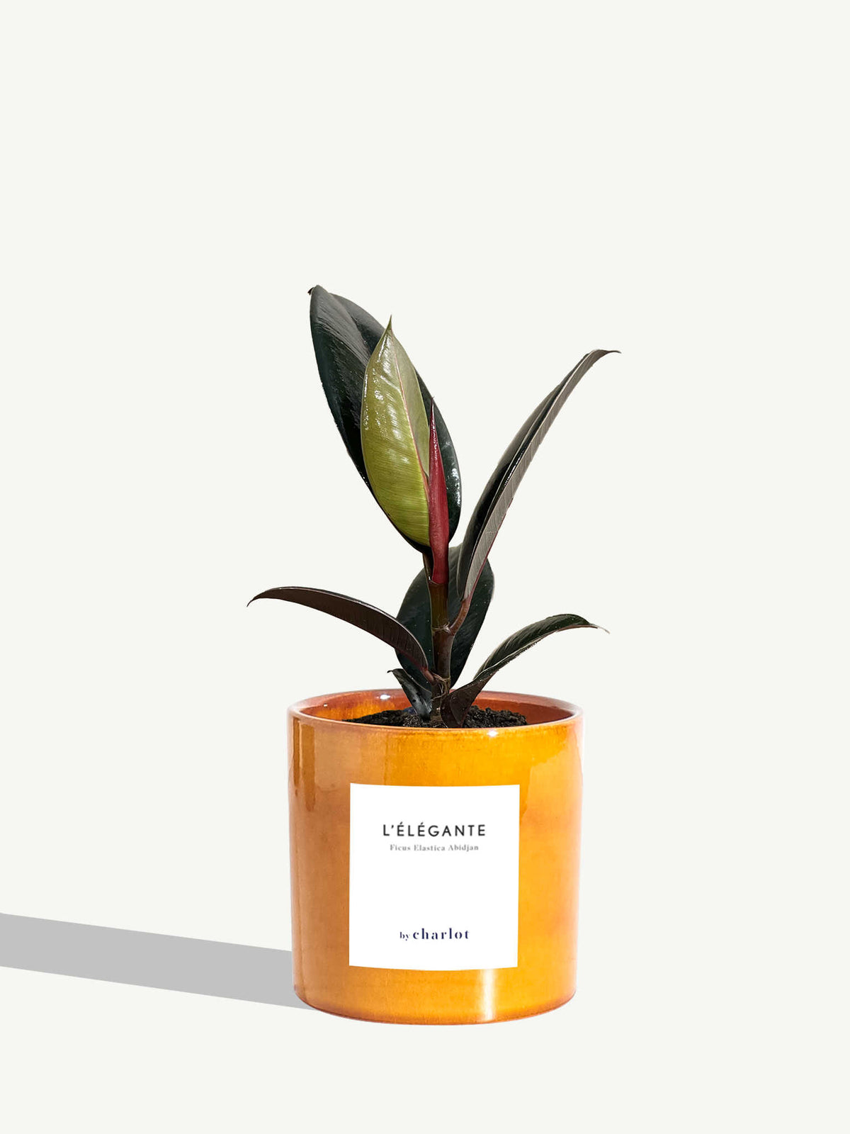 L'Élégante