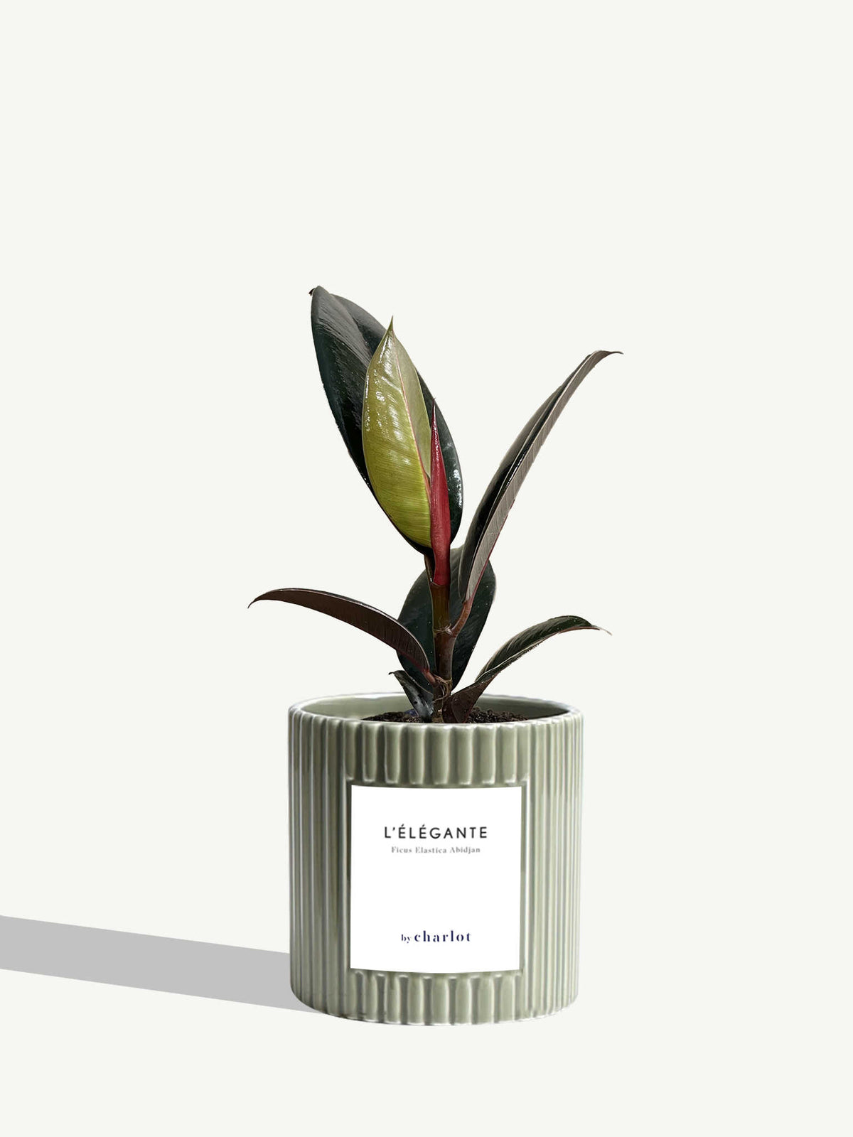L'Élégante