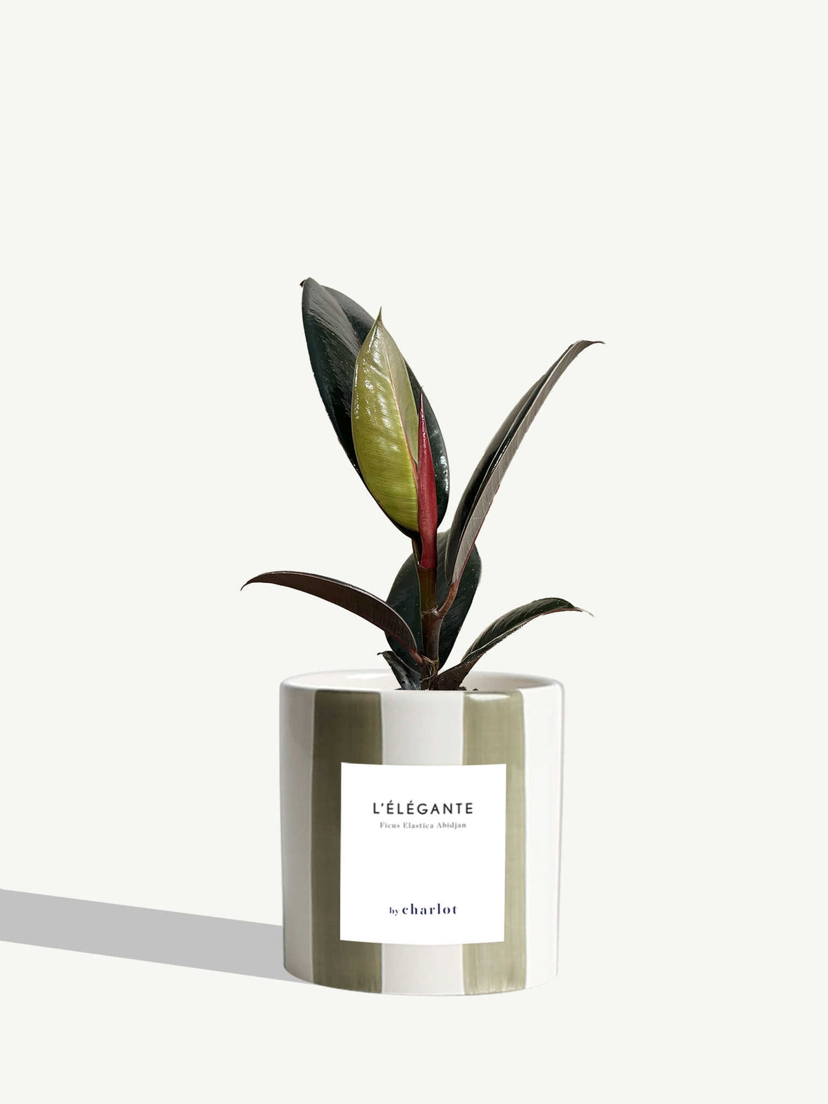 L'Élégante