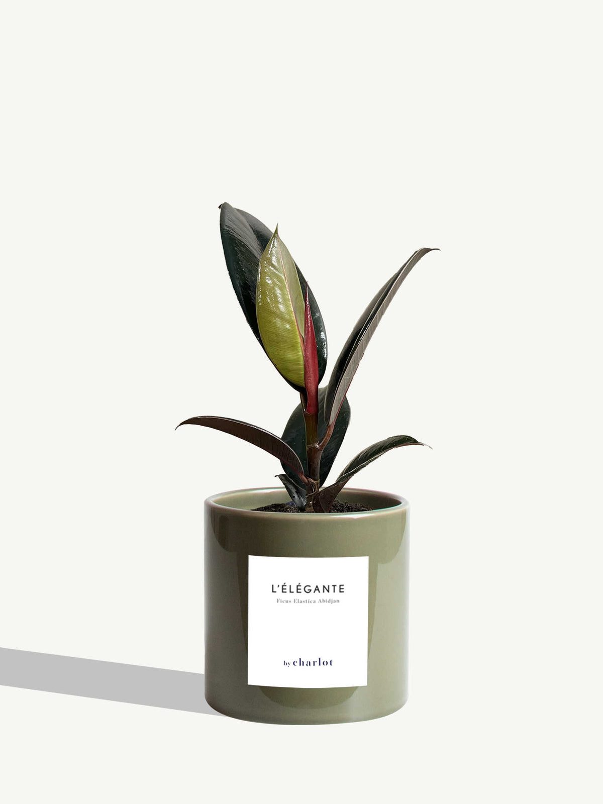 L'Élégante