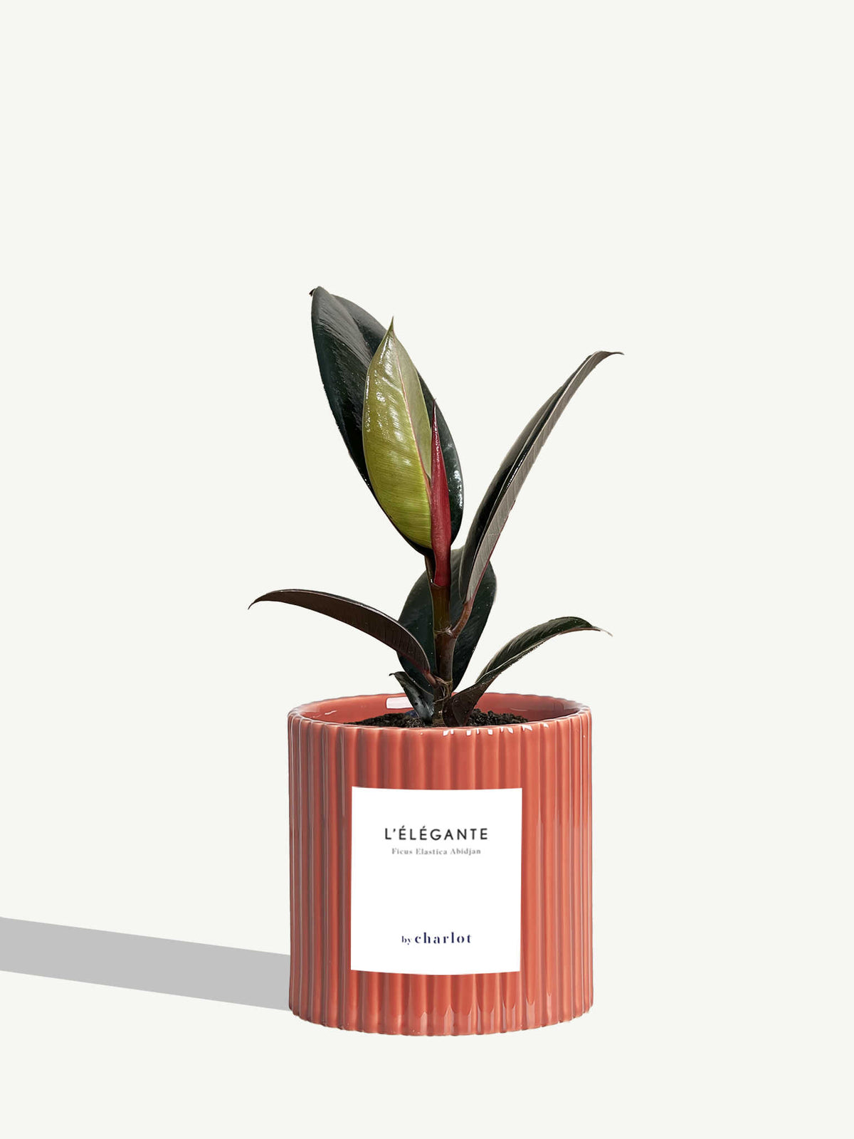 L'Élégante