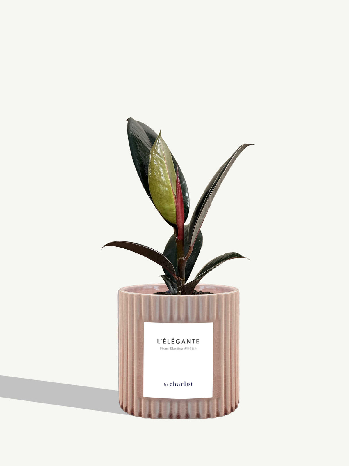 L'Élégante