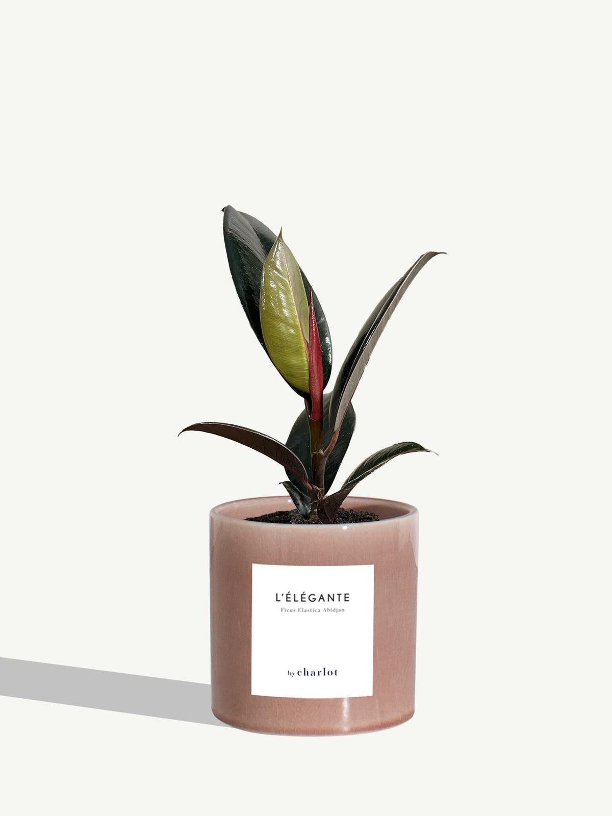 L'Élégante