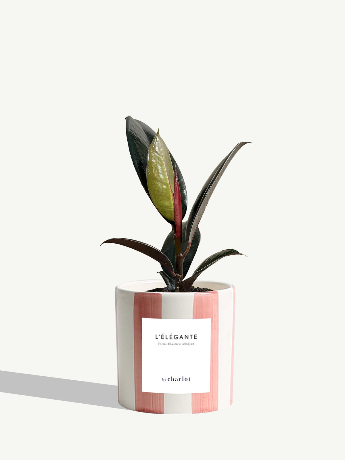 L'Élégante