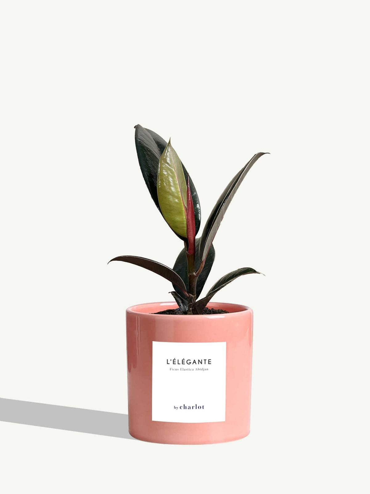 L'Élégante