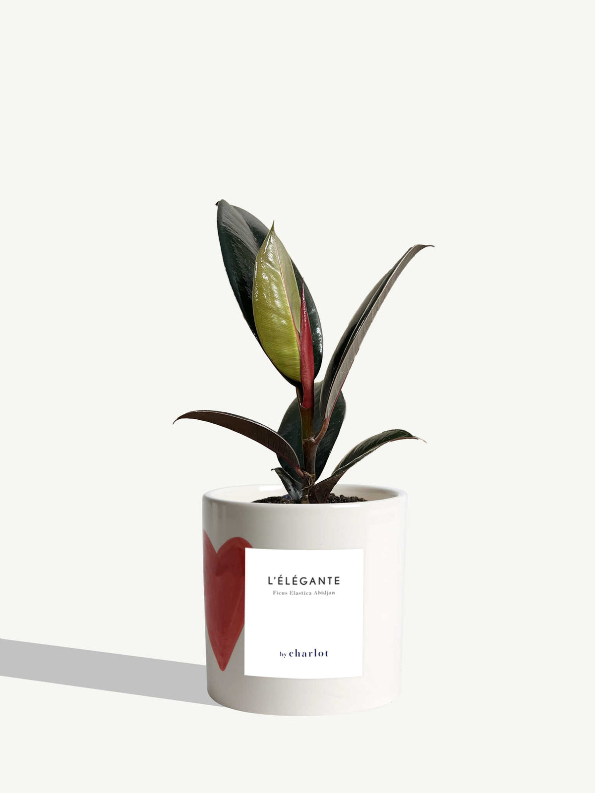 L'Élégante