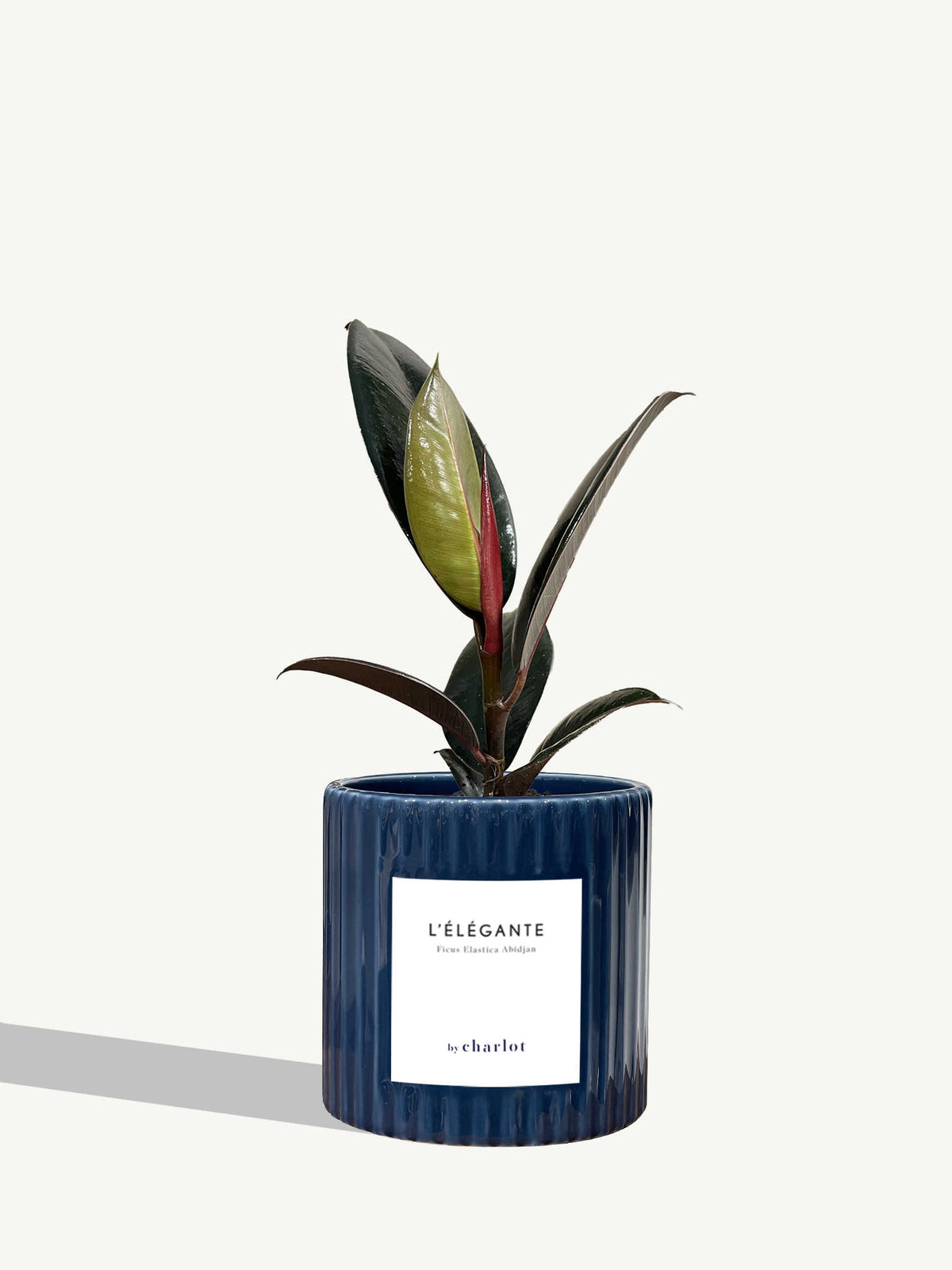 L'Élégante