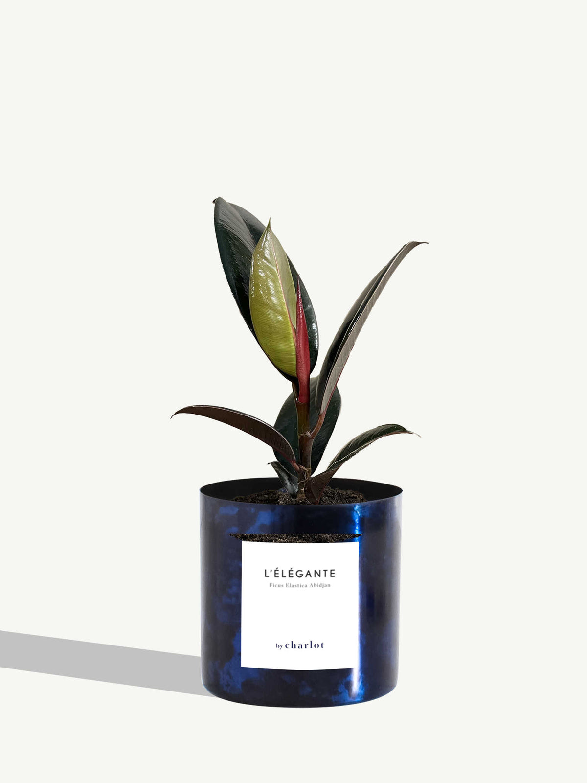 L'Élégante