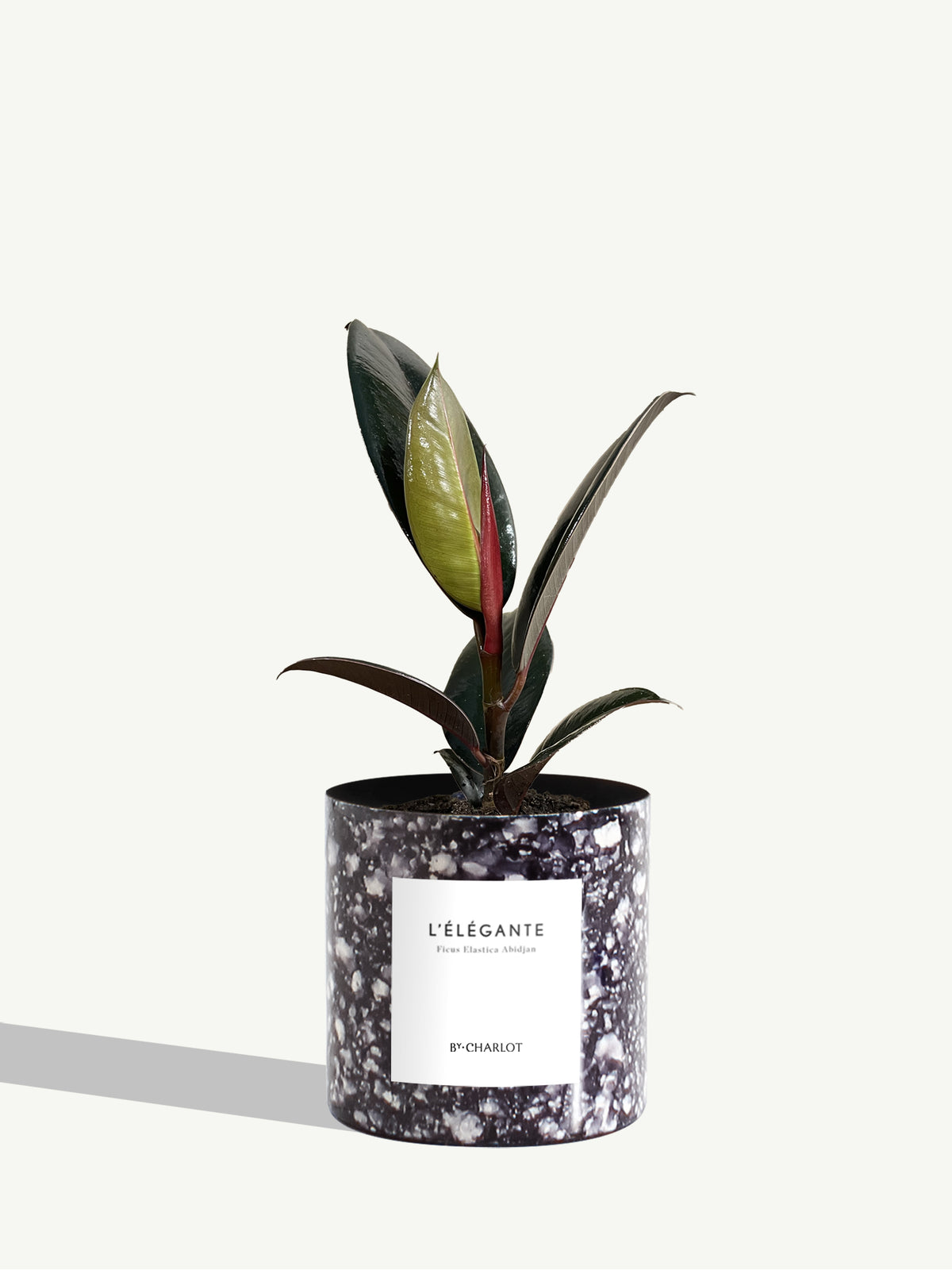 L'Élégante
