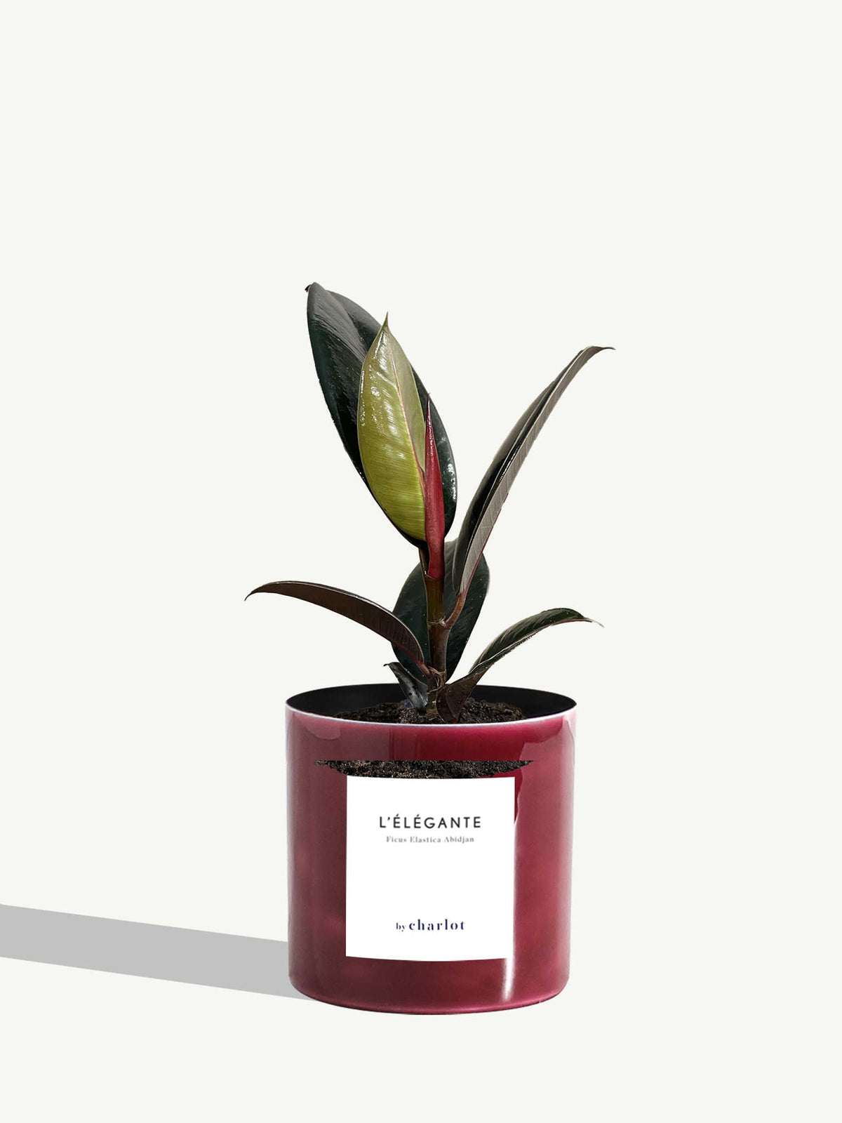 L'Élégante