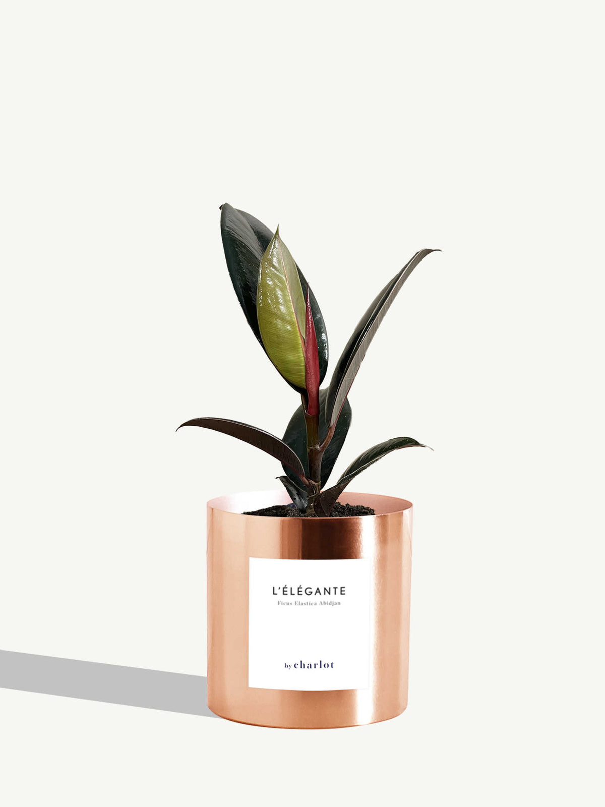 L'Élégante