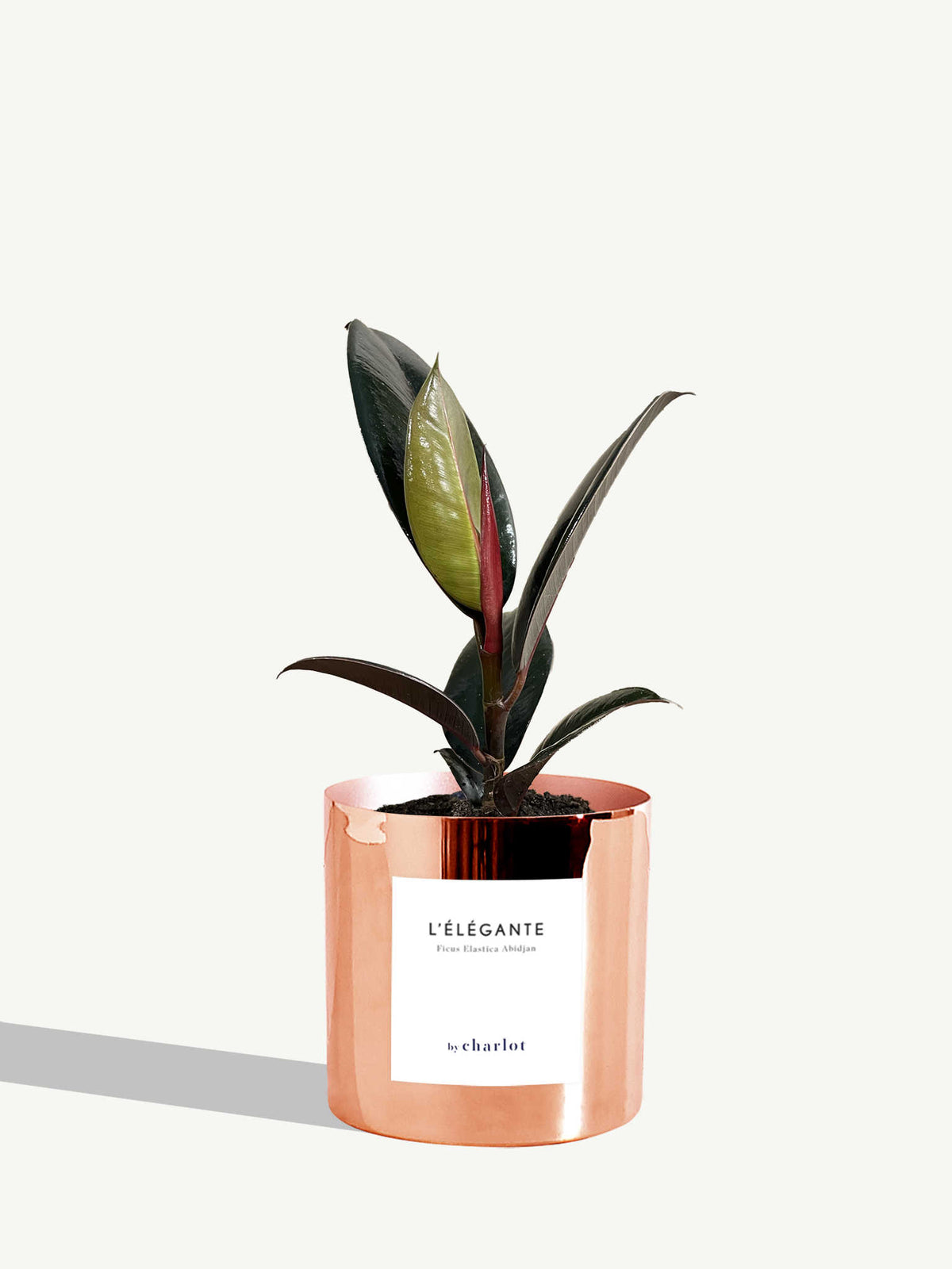 L'Élégante