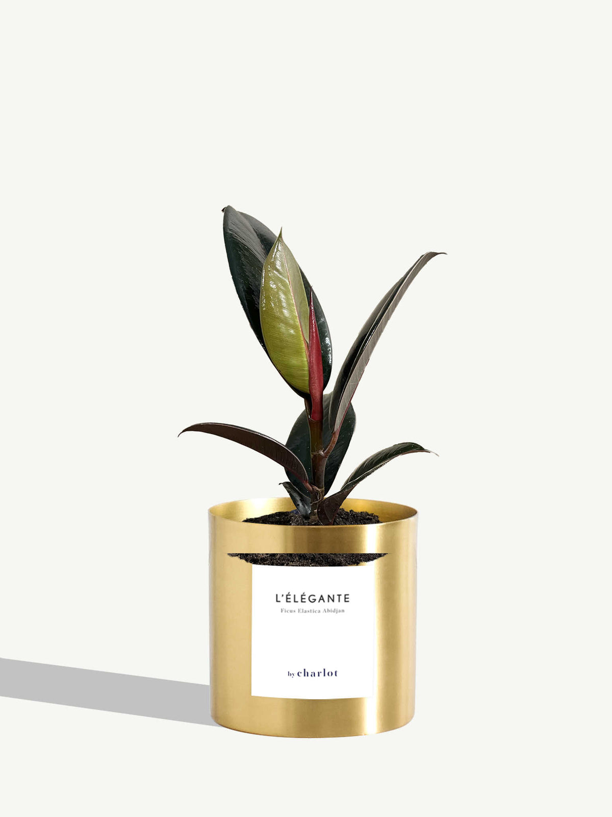 L'Élégante