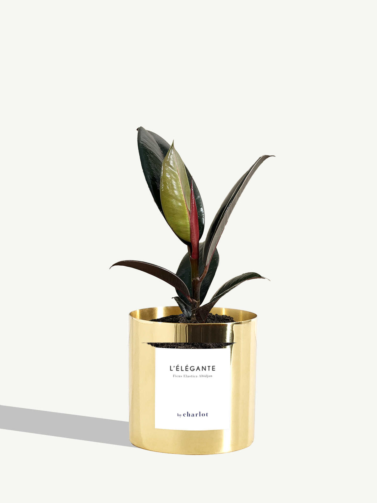 L'Élégante