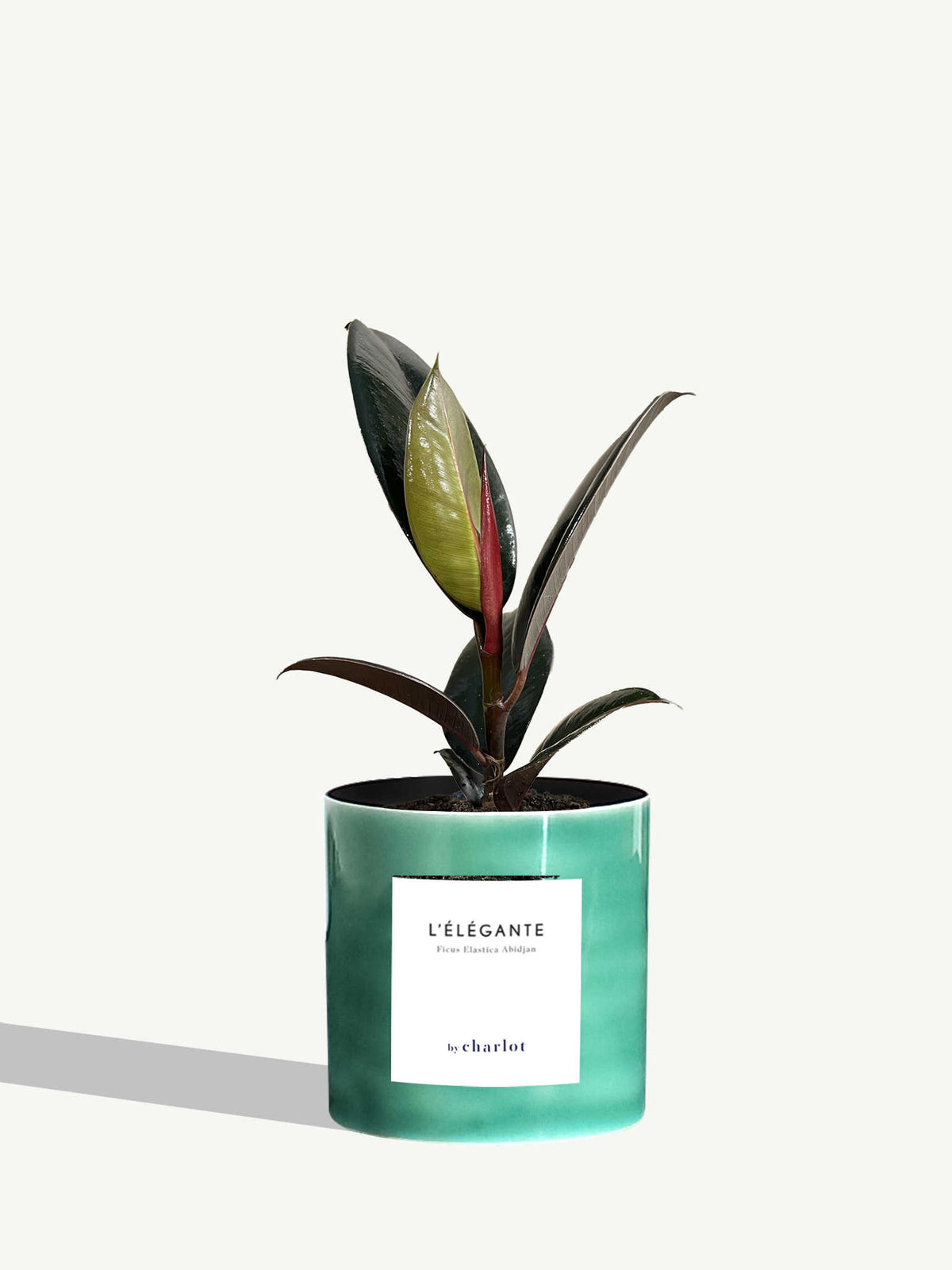 L'Élégante