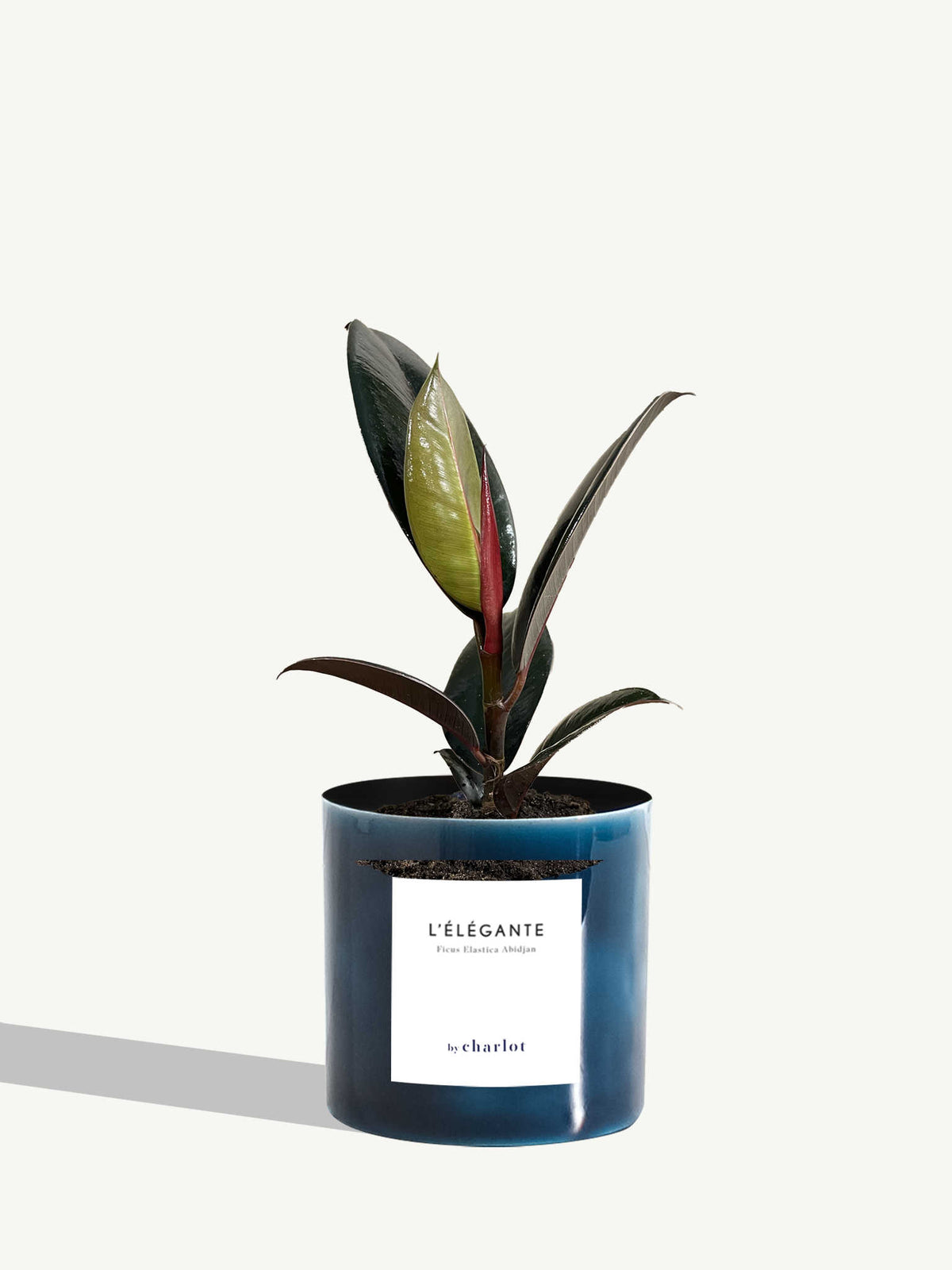 L'Élégante