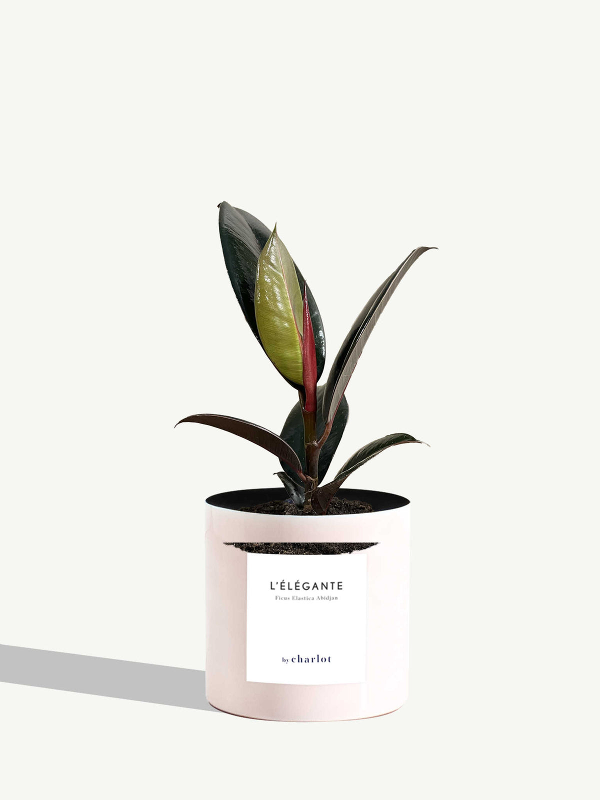 L'Élégante