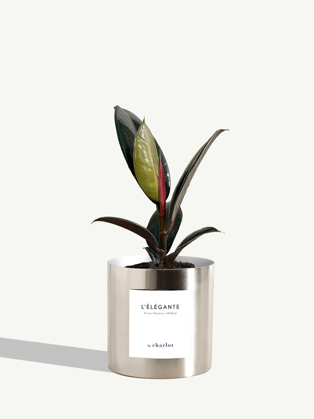 L'Élégante