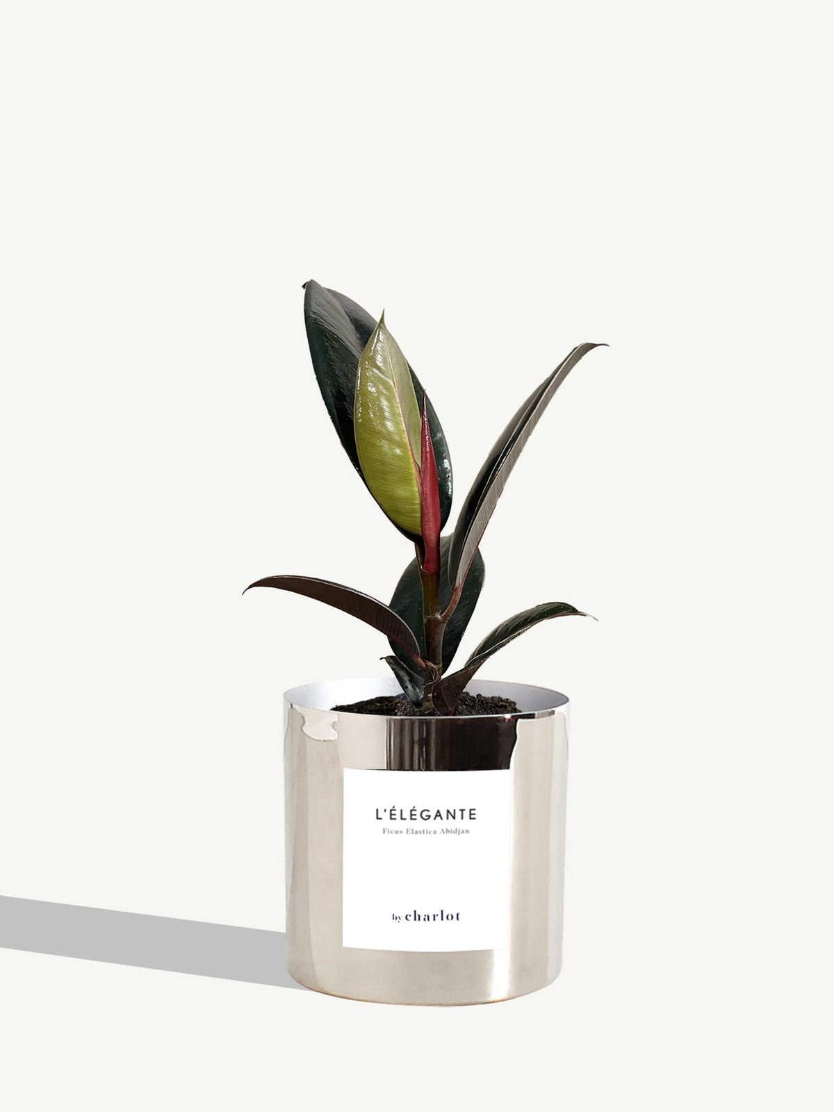 L'Élégante