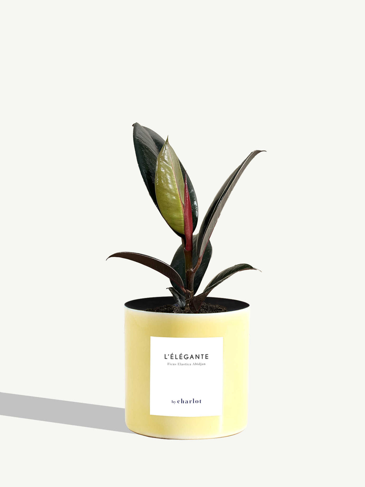 L'Élégante