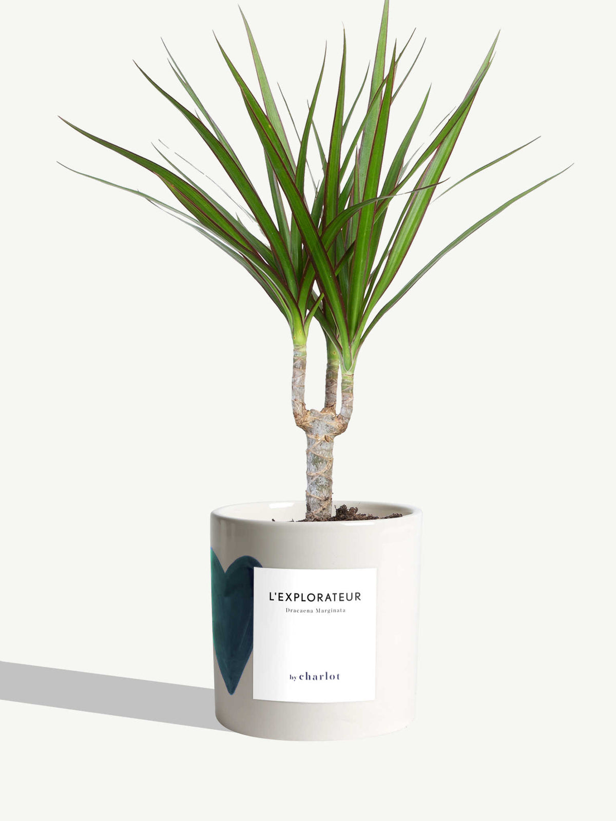 L'Explorateur