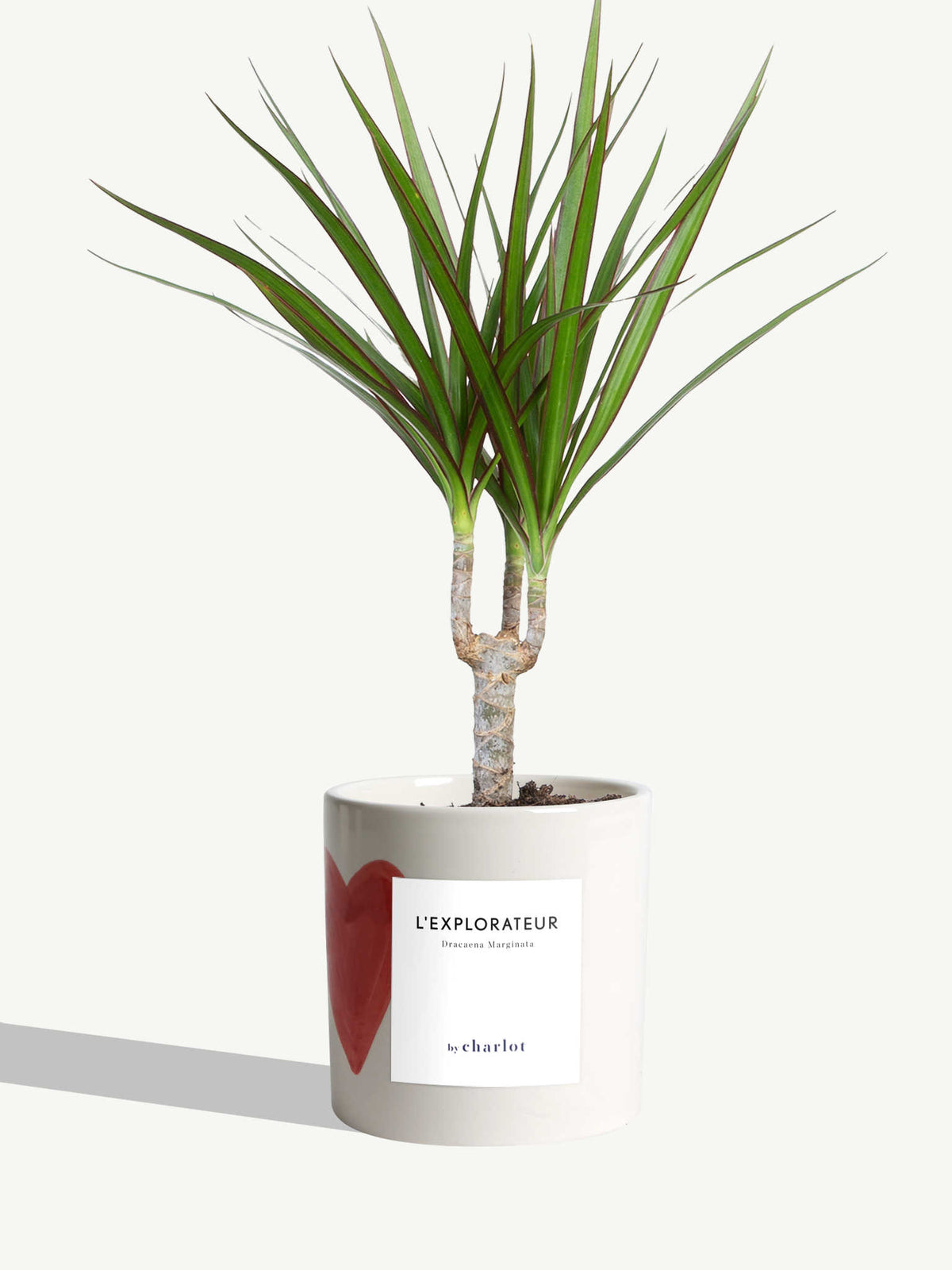 L'Explorateur