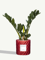 L'Extravagante