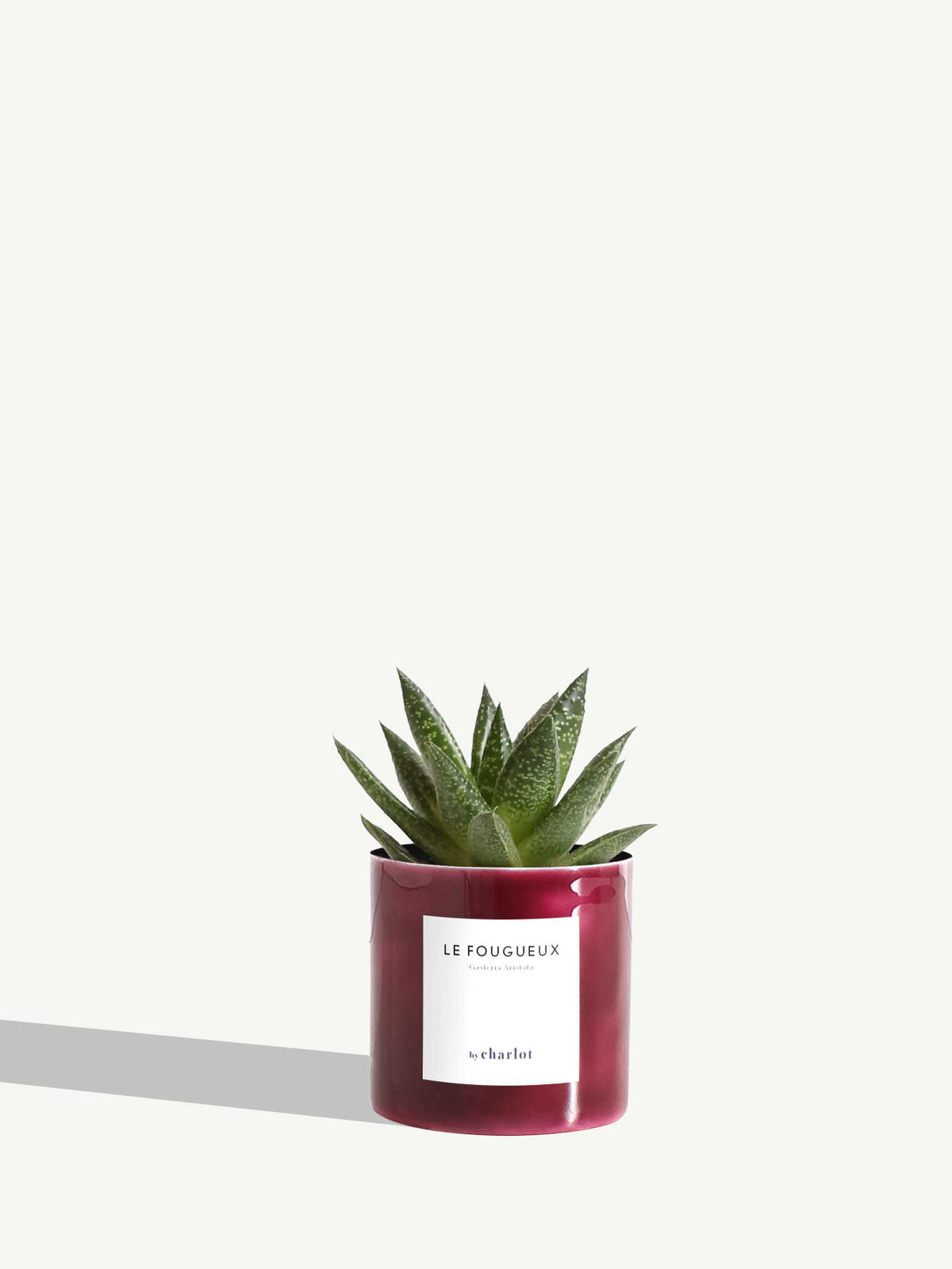 Le Fougueux