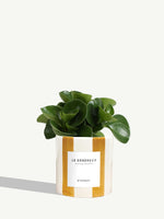 Le Généreux