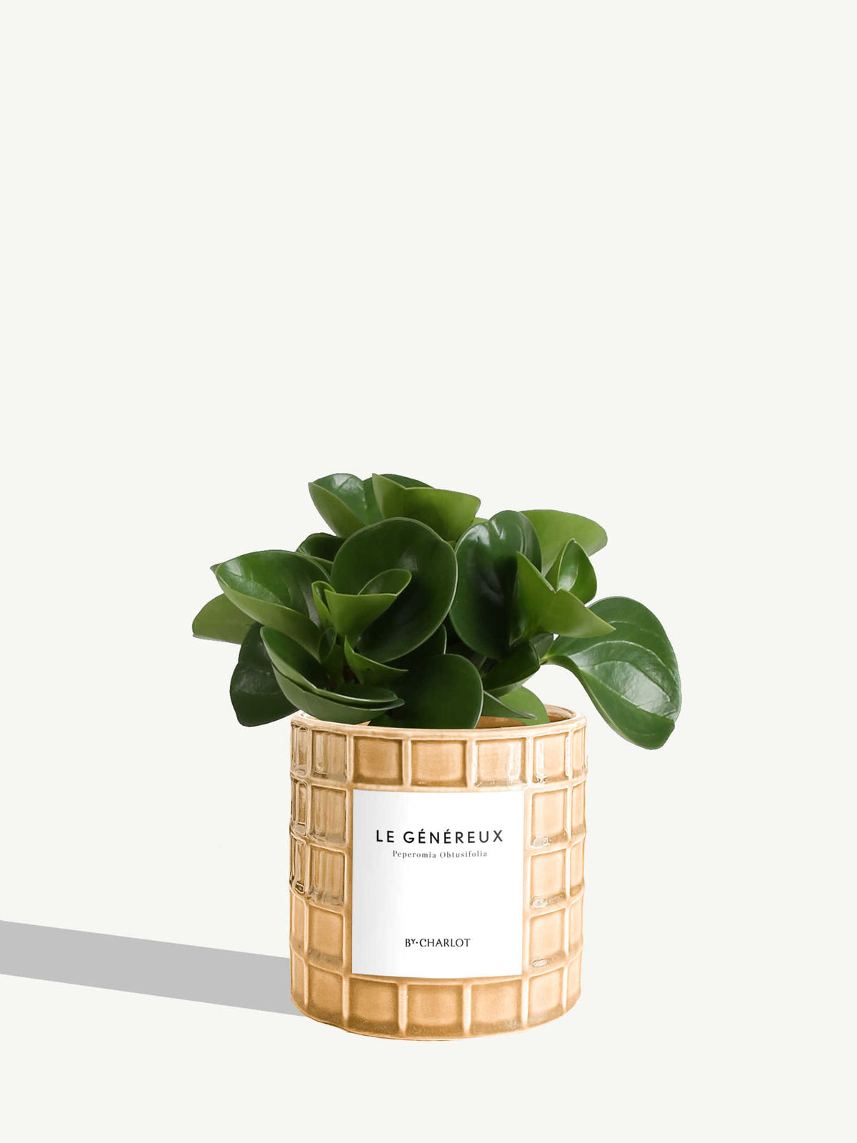 Le Généreux