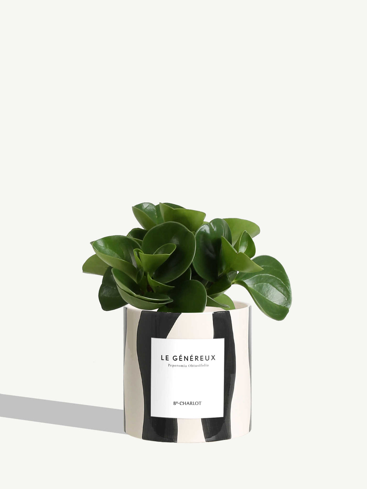 Le Généreux