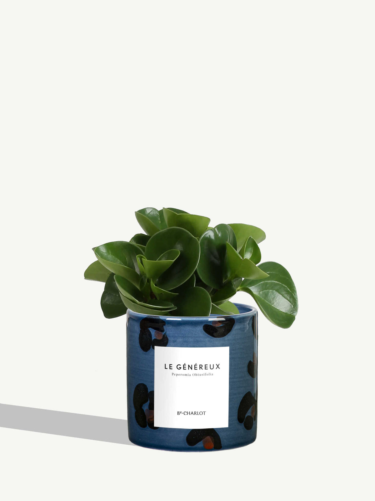 Le Généreux