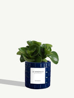 Le Généreux