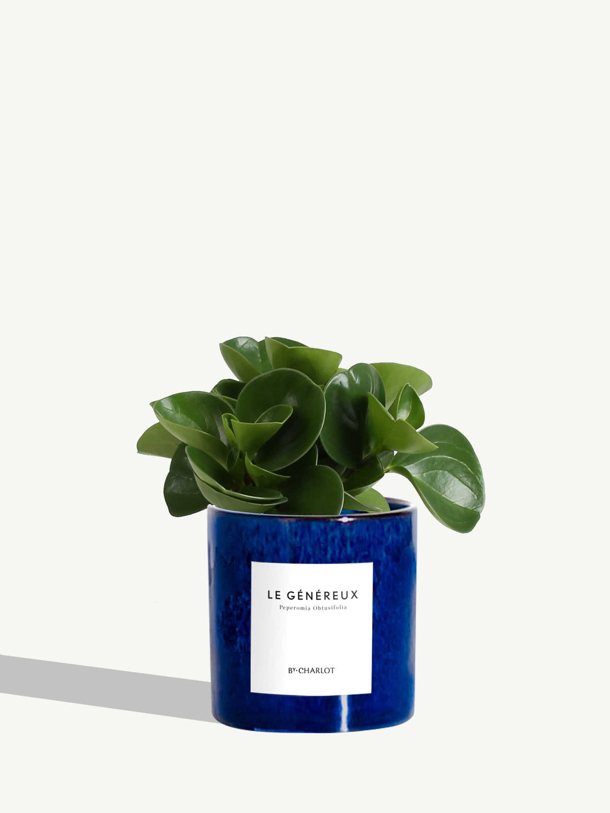 Le Généreux