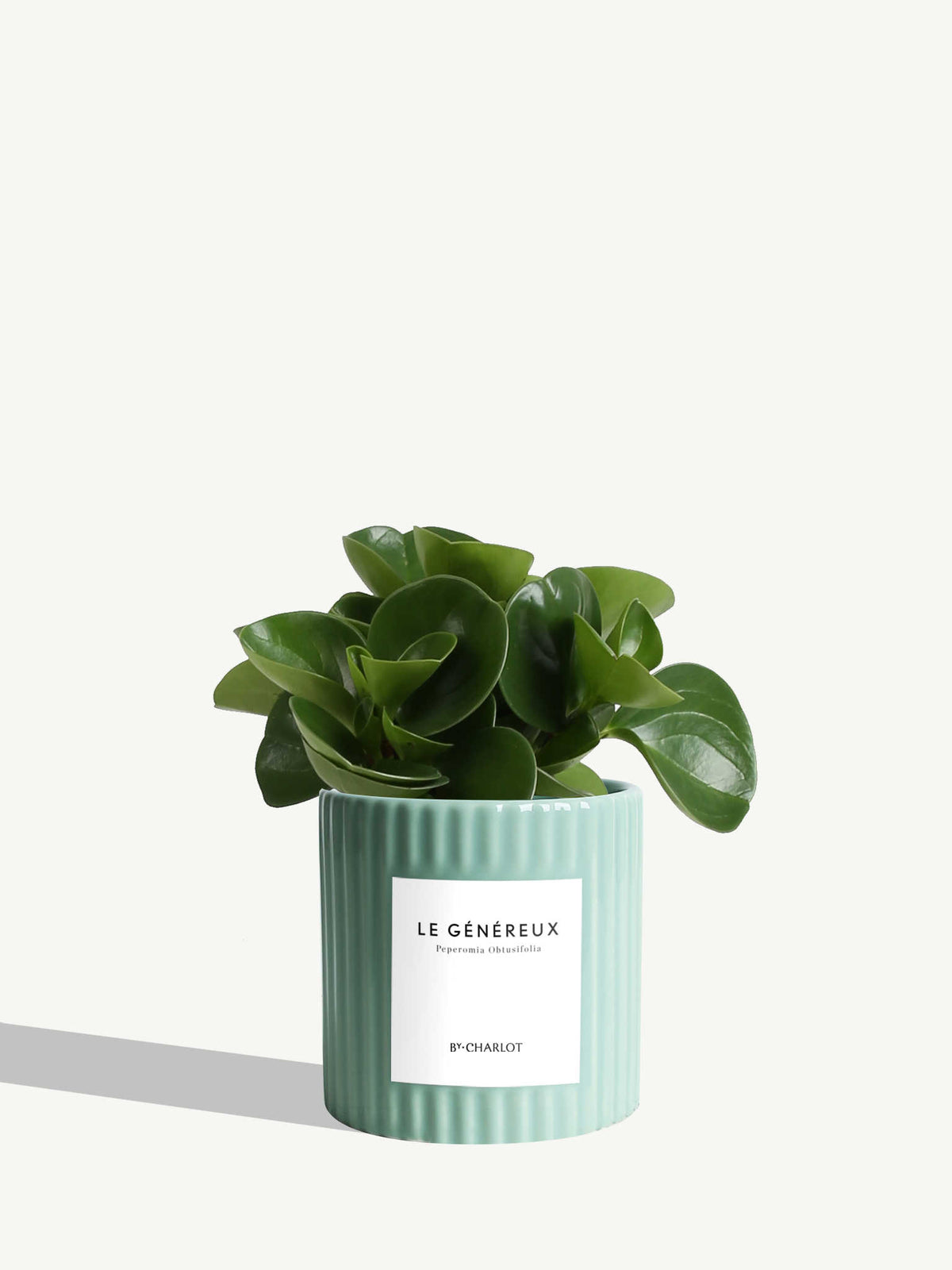 Le Généreux