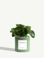 Le Généreux