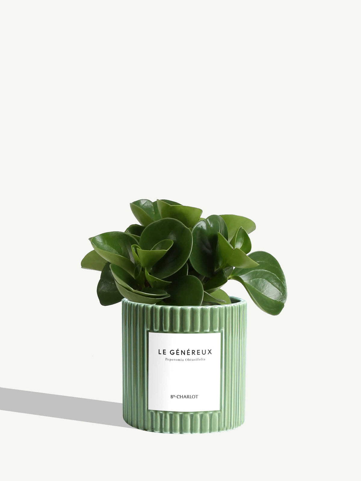 Le Généreux