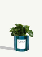 Le Généreux
